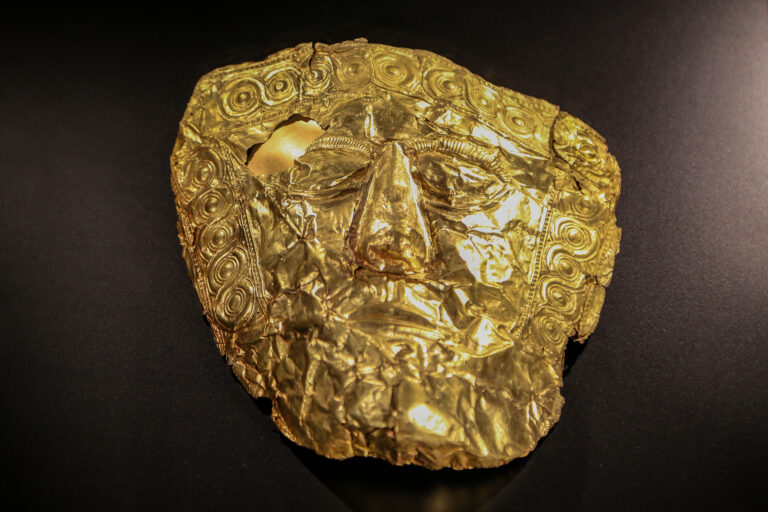 100 години Требениште